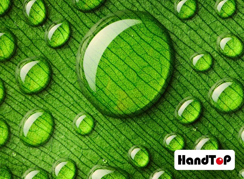 午夜福利免费在线观看午夜视频网站在线观看打印图案实例